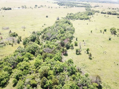 This 40.4 acre tract sits in a prime outdoor recreational - photo 15