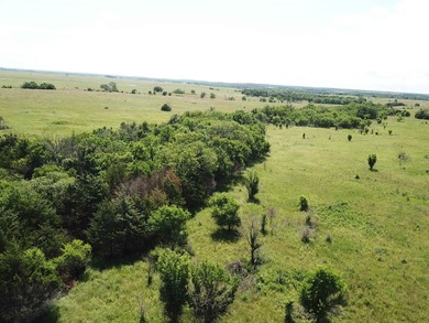 This 40.4 acre tract sits in a prime outdoor recreational - photo 17