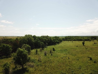 This 40.4 acre tract sits in a prime outdoor recreational - photo 18