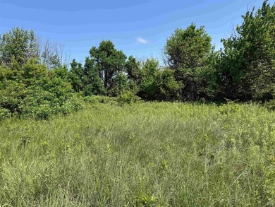 This 40.4 acre tract sits in a prime outdoor recreational - photo 22