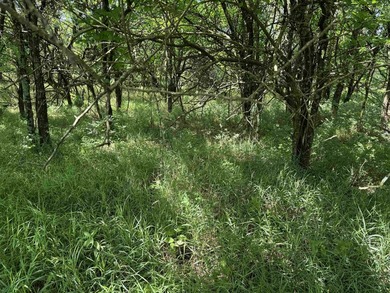 This 40.4 acre tract sits in a prime outdoor recreational - photo 23