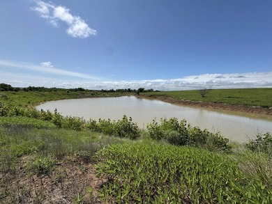 This 40.4 acre tract sits in a prime outdoor recreational - photo 24