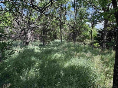 This 40.4 acre tract sits in a prime outdoor recreational - photo 26