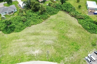 1.28 Acre Vacant Lot in Punta Gorda Isles. Zoned GM-15. Perfect - photo 3