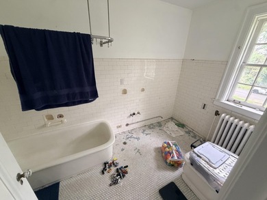 A once-in-a-generation opportunity to restore one of Detroit's - photo 35