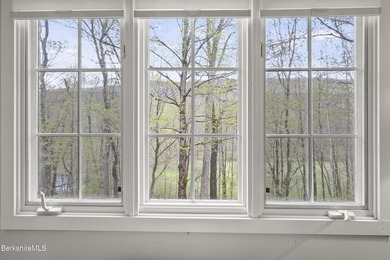 Lovingly maintained contemporary Cape set on just over an acre - photo 42