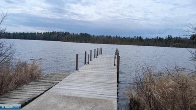 One-of-a-kind Lake Vermilion legacy property, masterfully - photo 44