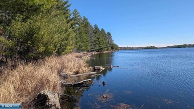 One-of-a-kind Lake Vermilion legacy property, masterfully - photo 45