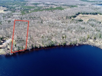 Birch Lake - Vilas County Acreage For Sale in Winchester Wisconsin