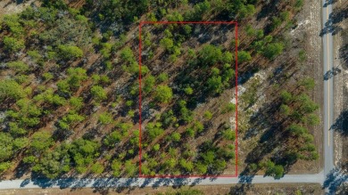 Lake Lot For Sale in Dunnellon, Florida