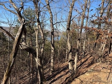 A rare and highly versatile 10.5+/- acre tract located in Camden - photo 4