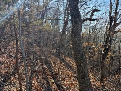 A rare and highly versatile 10.5+/- acre tract located in Camden - photo 6