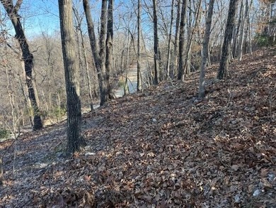 A rare and highly versatile 10.5+/- acre tract located in Camden - photo 9
