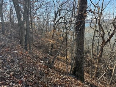A rare and highly versatile 10.5+/- acre tract located in Camden - photo 10