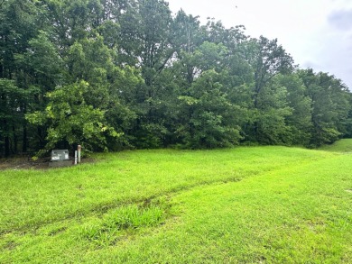 2 acre Wooded Lot in The Shores at Richland Chambers Lake - photo 3