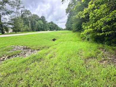 2 acre Wooded Lot in The Shores at Richland Chambers Lake - photo 7
