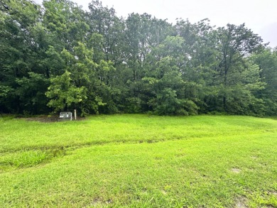 2 acre Wooded Lot in The Shores at Richland Chambers Lake - photo 10