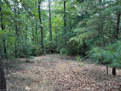 (private lake, pond, coastal) Lot For Sale in Purlear North Carolina