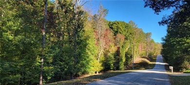 Rare mostly level double lot on Point road is now available for - photo 2