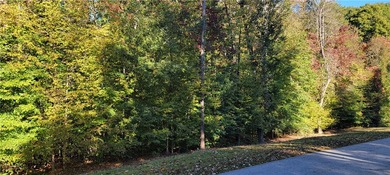 Rare mostly level double lot on Point road is now available for - photo 3