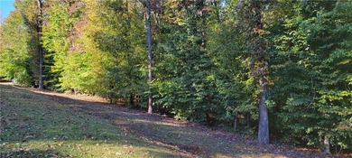 Rare mostly level double lot on Point road is now available for - photo 4