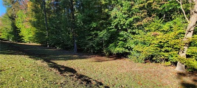 Rare mostly level double lot on Point road is now available for - photo 5