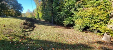 Rare mostly level double lot on Point road is now available for - photo 6