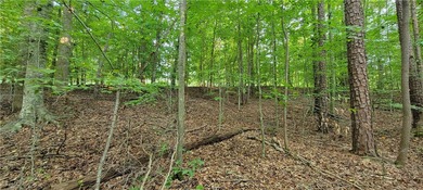 Rare mostly level double lot on Point road is now available for - photo 8