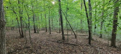 Rare mostly level double lot on Point road is now available for - photo 9