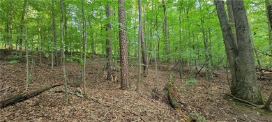 Rare mostly level double lot on Point road is now available for - photo 10