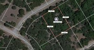 Lake Whitney Lot For Sale in Whitney Texas