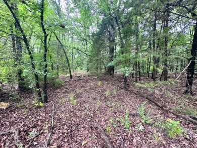 2 acre Wooded Lot in The Shores at Richland Chambers Lake - photo 14