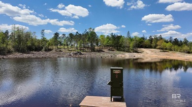 (private lake, pond, coastal) Acreage For Sale in Eight Mile Alabama