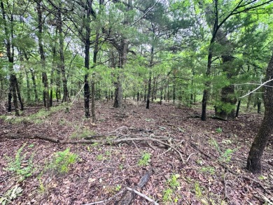 2 acre Wooded Lot in The Shores at Richland Chambers Lake - photo 25