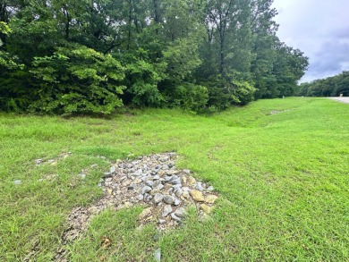 2 acre Wooded Lot in The Shores at Richland Chambers Lake - photo 2