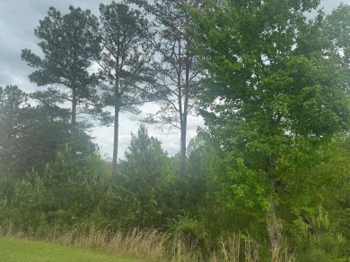 Lake Lot For Sale in Blairsville, Georgia