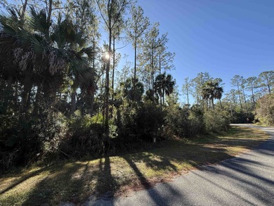 (private lake, pond, coastal) Lot For Sale in St. Marks Florida