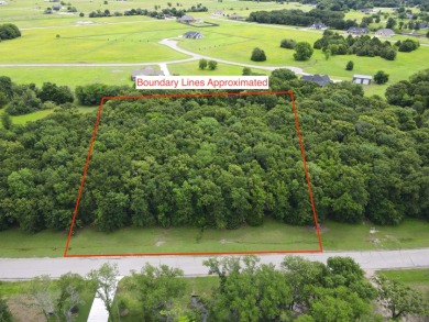 2 acre Wooded Lot in The Shores at Richland Chambers Lake - photo 13