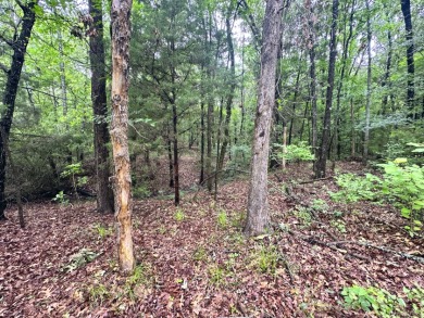 2 acre Wooded Lot in The Shores at Richland Chambers Lake - photo 29