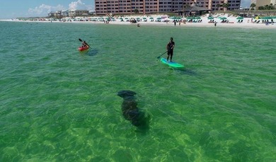 Your Gulf-front Oasis Awaits! Experience the ultimate Destin - photo 32