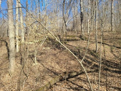 Additional listing photo 1