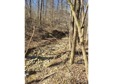 Additional listing photo 3
