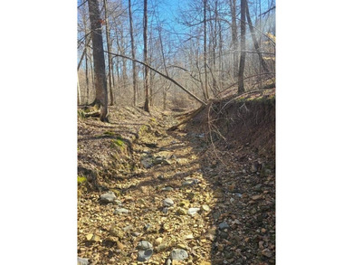 Additional listing photo 4