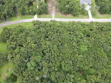 2 acre Wooded Lot in The Shores at Richland Chambers Lake - photo 21