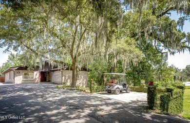DOWNTOWN OCEAN SPRINGS home with all of the charm and character - photo 12