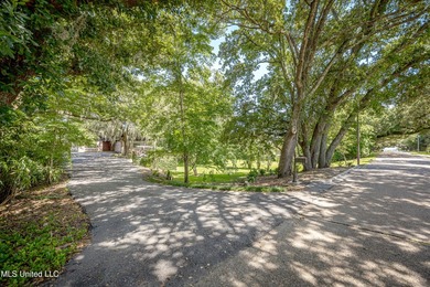 DOWNTOWN OCEAN SPRINGS home with all of the charm and character - photo 13