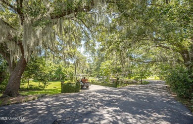 DOWNTOWN OCEAN SPRINGS home with all of the charm and character - photo 17