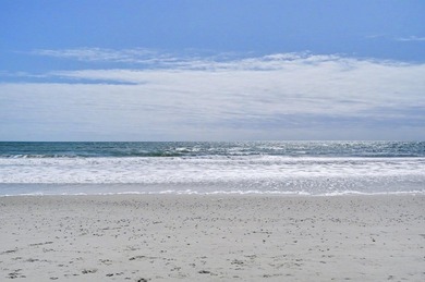 Welcome to this charming efficiency unit in the desirable Ocean - photo 27