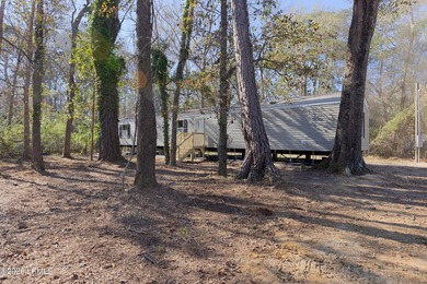 Nestled in the heart of the Lowcountry, this fully furnished - photo 9