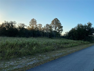 Bonable Lake Lot For Sale in Dunnellon Florida